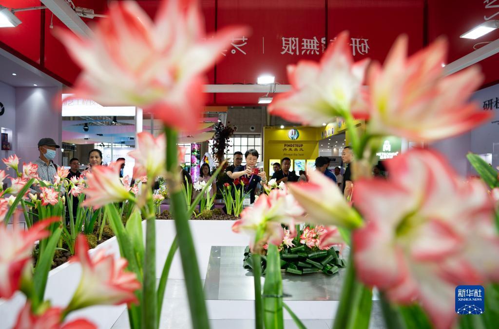787娱乐官网下载